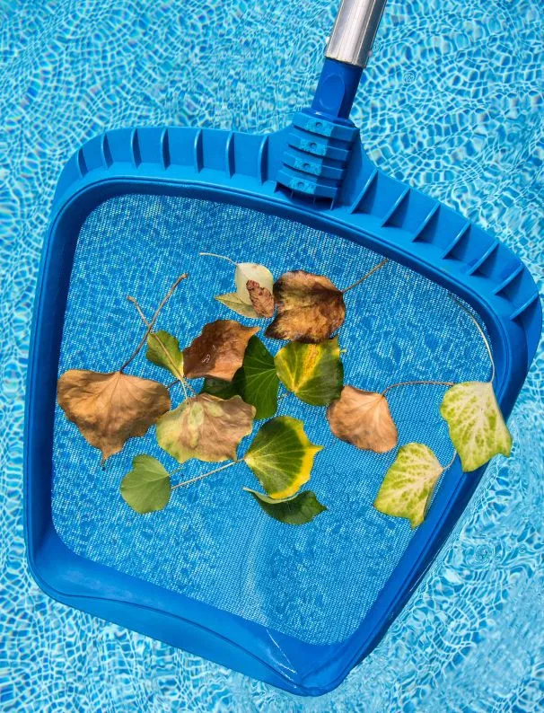 Los Angeles Pool Remodeling Before and After